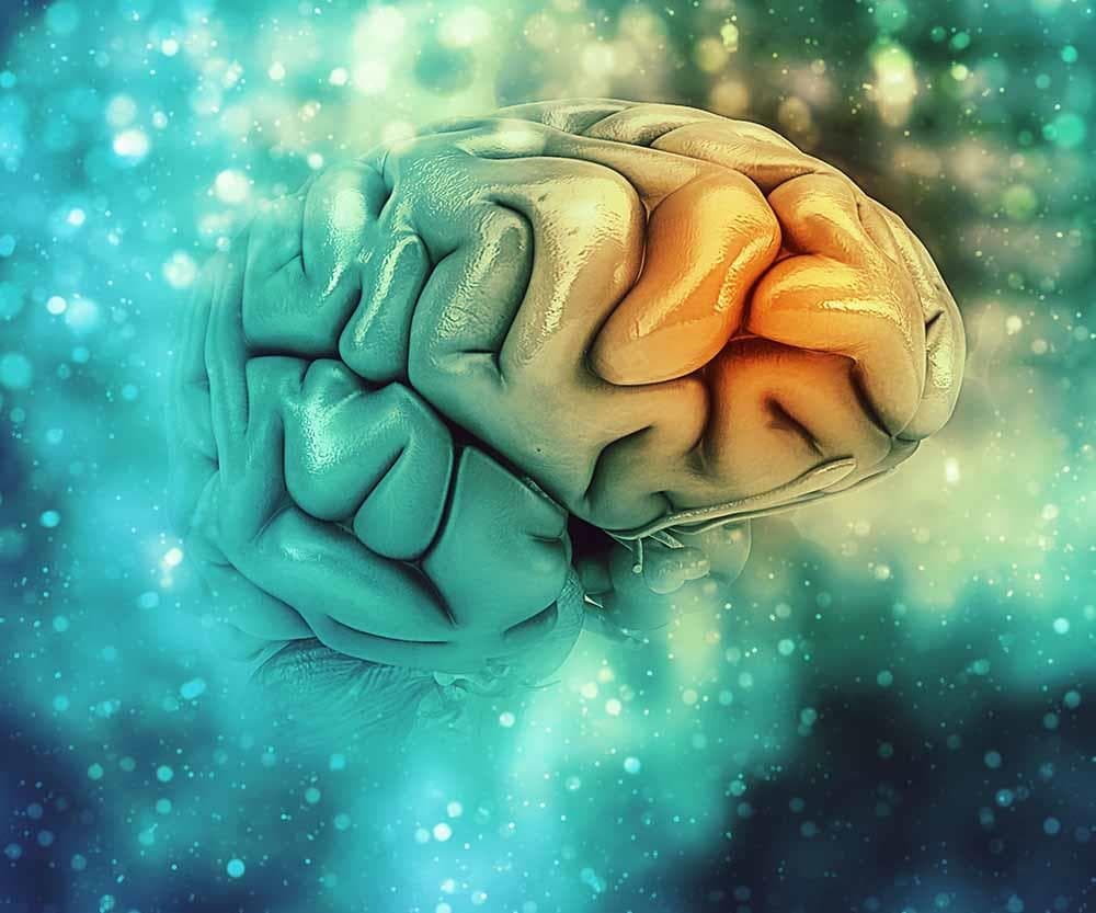 ENFERMEDAD DE ALZHEIMER  (EA) :    NUEVO BIOMARCADOR EN SANGRE.