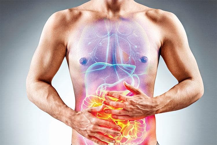 MICROBIOTA INTESTINAL:  Análisis y consejo nutricional dirigido.