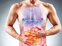 MICROBIOTA INTESTINAL:  Análisis y consejo nutricional dirigido.