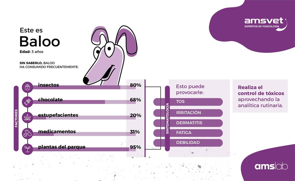 NOVEDAD EN ANÁLISIS VETERINARIOS: ANÁLISIS TOXICOLÓGICO PARA MASCOTAS