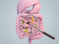 SINDROME DEL INTESTINO IRRITABLE (SII):  Sal de dudas con nuestra nueva prueba diagnóstica  en el Laboratorio Pintor.